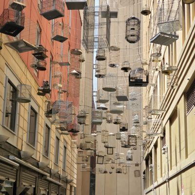 Hanging wire cages